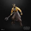BLACK SERIES NIGHTBROTHER WARRIOR JEDI FALLEN ORDER