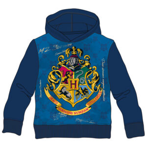 img_231567_edbfd7a3a97a63463040deac31dd986a_1.jpg Sudadera capucha Hogwarts Harry Potter infantil