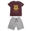 Conjunto Hogwarts Harry Potter PACK 6 uds
