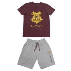 Conjunto Hogwarts Harry Potter PACK 6 uds