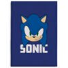 Manta polar Sonic The Hedgehog