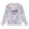 Sudadera Disney adulto PACK 16 uds