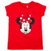 Camiseta Minnie Disney PACK 10 uds