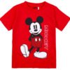 Camiseta Mickey Disney PACK 10 uds