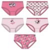 Blister 5 braguitas Minnie Disney PACK 15 uds