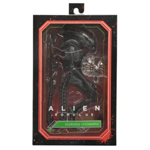 img_365009_7634b03472edbfcd372d93db2d826d18_1.jpg Figura Ultimate Scorched Xnomorph Alien Romulus 23cm