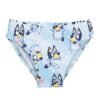 img_371517_0f83aa4ce981992772f78f7975930659_1.jpg Bañador slip Bluey PACK 12 uds
