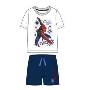 Conjunto Spiderman Marvel PACK 12 uds