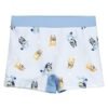 img_371682_d858a435b9c1573f41812366f2f4be7e_1.jpg Bañador boxer Bluey PACK 12 uds