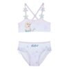 img_371691_56c11b95dfe7b1c3c3c41b0ee25d9c7a_1.jpg Bikini Frozen Disney PACK 12 uds