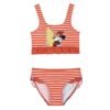 img_371692_5c9f4b07e5d90bbbd0dd9f18f165d25c_1.jpg Bikini Minnie Disney PACK 12 uds